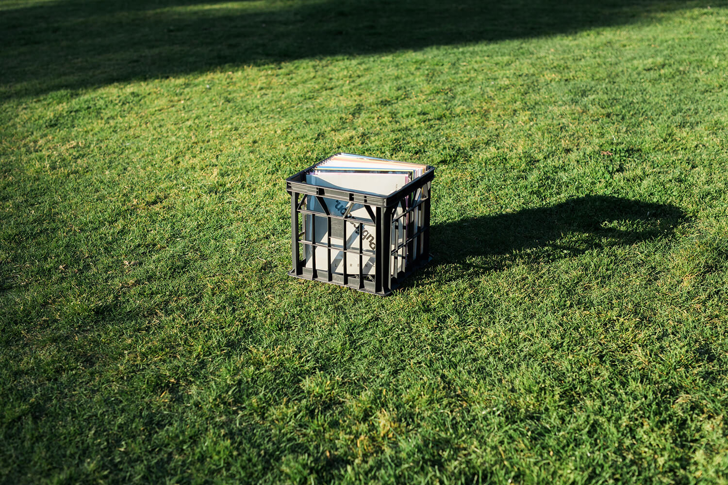 Crate of records in a field